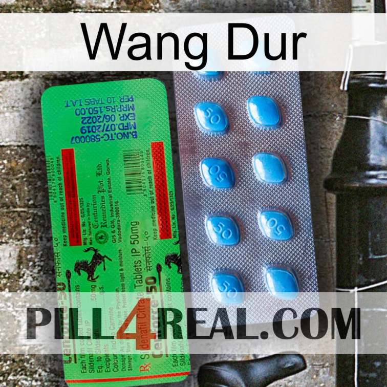 Hard Wang new03